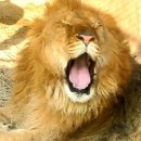 옥계쌍둥이동물농장 이미지