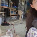 백패커스인여수호스텔 이미지