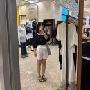 허쉬퍼피 이미지