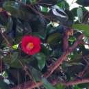 제주도×부산 다녀온 후기! (스압데이터주의) 이미지