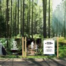 봄 숲으로 가자 이미지