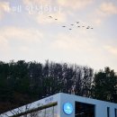 대구벚꽃명소 카페 안녕하다 서울 경기 벚꽃명소 외에도 여기!