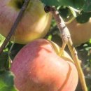 평광농장 이미지