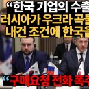 러시아 우크라이나 곡물 수출 허용 - 한국 포스코만 허용 이미지