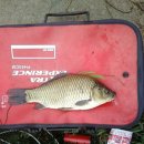 화곡2리 이미지