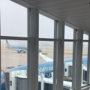 호주 퍼스 자유여행(스카보로 비치 수영장,프리맨틀 시장,베트남항공 후기)