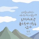 영역 이미지