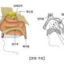 서울앤서울소아과의원 이미지