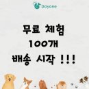 주식회사 데이원 네이버블로그