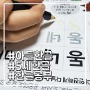 치코린도