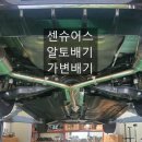 알토배기