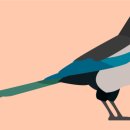 명문유치원 이미지