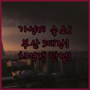 나무늘보 호텔 서면점 | 부산 가성비 숙소 3대장 광안리 서면 송정 숨겨진 치명적 단점 공개