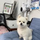 그린종묘농약사 이미지