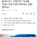 중국 연구진 치사율 100% 코로나 변이 바이러스 실험-.-;; 이미지