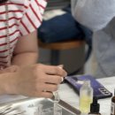 변동초교병설 이미지