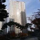 선수촌약국 이미지