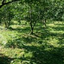 수지 농장 이미지