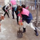 한국사료주식회사 이미지