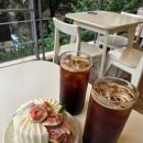 벨라 | 홍대 디저트 맛집 허밍벨라 케이크 후기