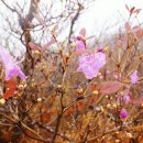 고개휴게소 자판기