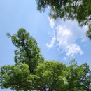 괴산군장애인복지관 | 문화잇다,괴산군장애인복지관 문화유산탐방 프로그램 진행했습니다.