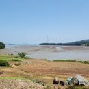 무장태양광발전소 이미지