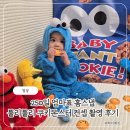 몬스터쿠키 | 250일 아기셀프촬영 후기 툴리툴리 쿠키몬스터 컨셉 셀프촬영