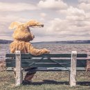 두마리토끼 이미지