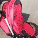 파코라반베이비 이미지