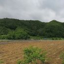 청송공인중개사사무소 이미지