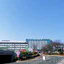 초안산 둘레길과 영축산 순환산책로 연계 탐방(2).............(전철 시리즈 제124탄) 이미지