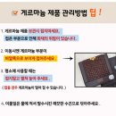 (주)의담환경 | &#34;일산 친환경 편백 아트 방문기 ! 딸과 함께 체험한 은나노 게르마늄 찜질기 거북이, 이건 진짜 찐이다!&#34;