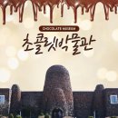 초콜릿박물관 티스토리