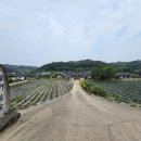 십이령마을 | 봉화 바래미 마을, 팔오헌 종택 - 2025년 해풍회 풍수답산