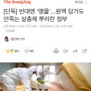 [단독] 빈대엔 '맹물'...원액 담가도 안죽는 살충제 뿌리란 정부 이미지