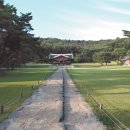 초지 359 이미지