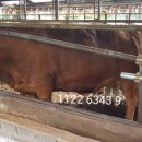 태영한우농장 이미지