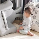 나르는 꿀꿀이 이미지