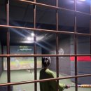 농구 사격 이미지