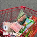 제주위미농업협동조합하례지점 | 제주 1년살기 하나로마트, 제스코마트에서 장보는 일상 (2월 식비 결산)