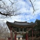 설 연휴 첫날에 떠난 의성 고운사 템플스테이 후기