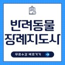 반려동물장례지도사 자격증, 지금 가장 핫 한 온라인 강의 TOP 3