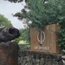 제주 서귀포 산방산 | [제주도 서귀포 카페] 산방산이 보이는 카페 제주 원앤온리 내돈내산 후기