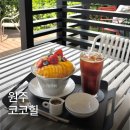 코코힐 | 원주 행구동 대형카페 코코힐 | 치악산 뷰 맛집 생망고빙수 후기