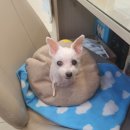 베리굿동물병원 이미지