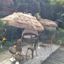 와이제이케어(YJ CARE) | 강남 다이어트 YJ스파 원플러스원 바디 후기