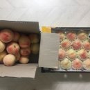 두물농원 이미지