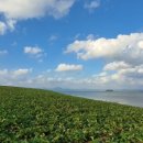 현경농장 이미지