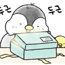 솜솜아이스 이미지